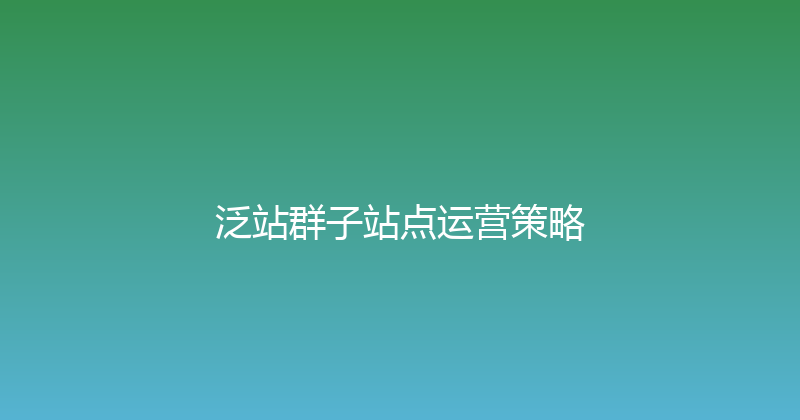 泛站群子站点运营策略 封面图